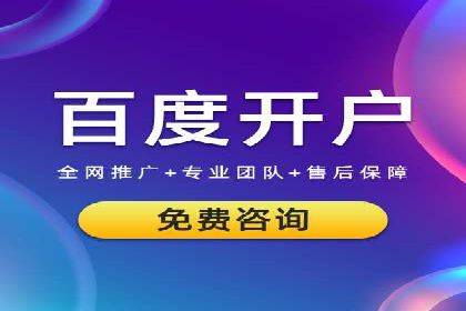 SEM营销案例：电商平台的流量密码